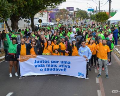 imagem-4