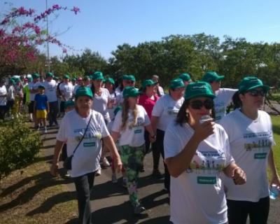 imagem-6